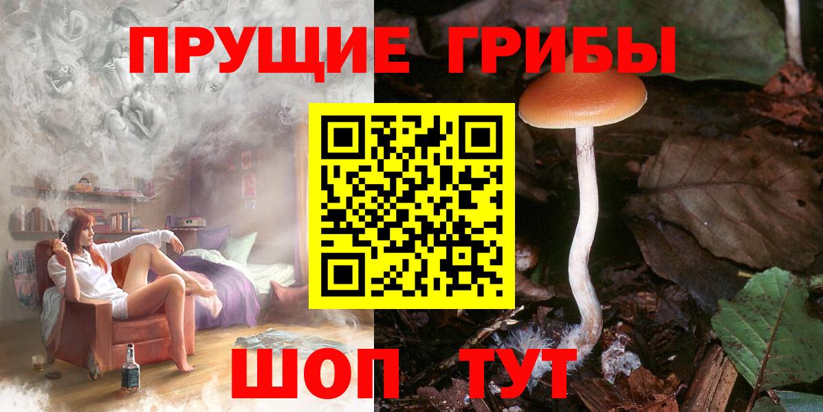 Галлюциногенные грибы Psilocybine cubensis  Псилоцибиновые грибы GOLDEN TEACHER  Камышлов  Вход с VPN 