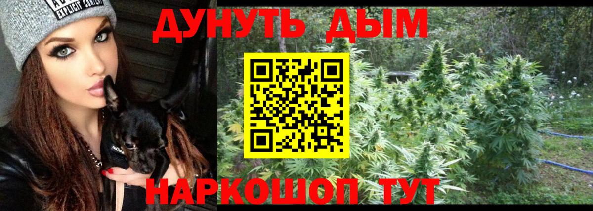 Каннабис тримм  МАРИХУАНА тримм  Вход с VPN  Камышлов  Шишки марихуана THC 21%  МАРИХУАНА Amnesia 